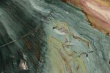 Gary Green Jasper (Larsonite) Bog Wood Slab - Oregon #377759-1